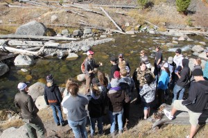 Yellowstone stream ecology talk